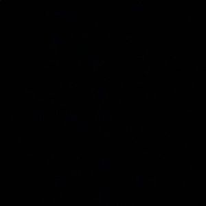 Meet your Posher, Ayodele